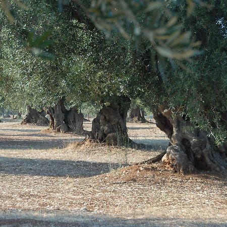 Casa Campari Leilighet Ostuni Eksteriør bilde