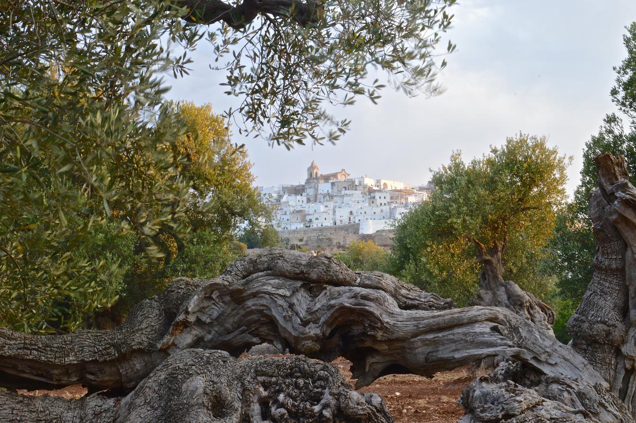 Casa Campari Leilighet Ostuni Eksteriør bilde